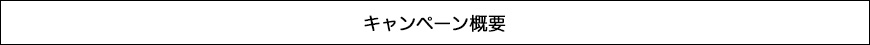 キャンペーン概要